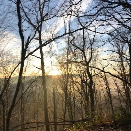 Les Quatre Saisons * Vresse-sur-Semois
