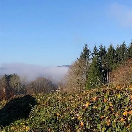 Les Quatre Saisons Appartamento Vresse-sur-Semois