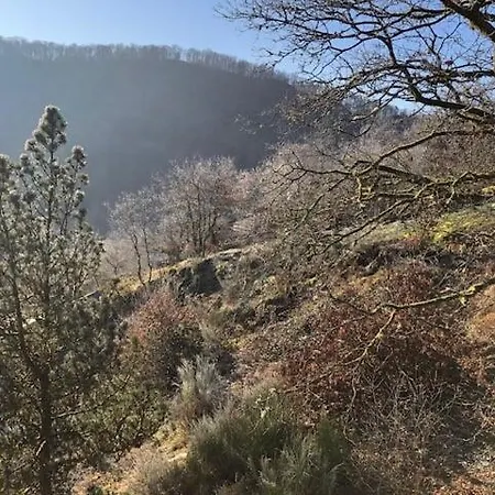 Les Quatre Saisons Vresse-sur-Semois