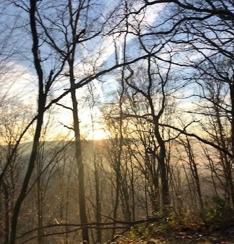 Les Quatre Saisons * Vresse-sur-Semois