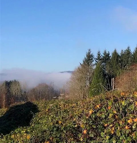 Les Quatre Saisons Appartamento Vresse-sur-Semois