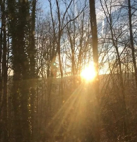 Les Quatre Saisons Vresse-sur-Semois